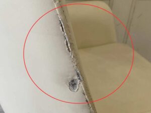 Office chair, leather upholstery, U-shaped steel legs, cream color.