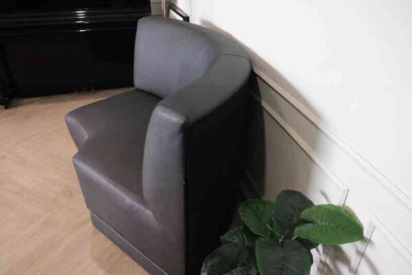 Curved leather sofa, beautiful shadow, wooden frame, black color.