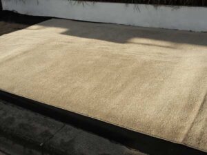 Cream floor carpet, hotel furniture