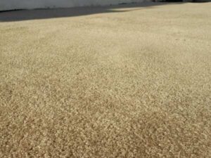 Cream floor carpet, hotel furniture