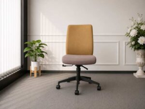 office chair Height adjustable + rear lockable, hydraulic shock absorber