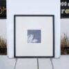 Picture of a blooming lotus, black and white, black wooden frame