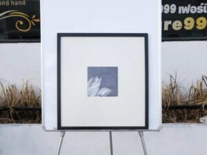 Picture of a blooming lotus, black and white, black wooden frame