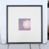 Picture of pink lotus flower, black wooden frame