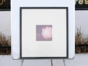 Picture of pink lotus flower, black wooden frame