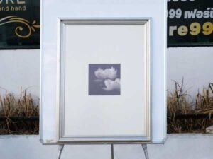Picture of 2 blooming lotus flowers, black and white, silver frame