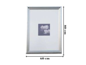 Picture of 2 blooming lotus flowers, black and white, silver frame