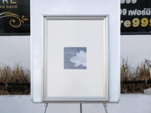 Picture of lotus flower, black and white, silver frame