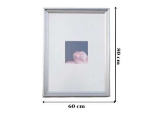Picture of pink lotus flower, silver frame