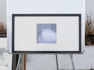 Picture of lotus flower, black and white, black wooden frame