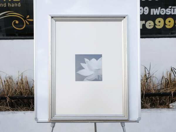 Picture of a blooming lotus, black and white, silver frame