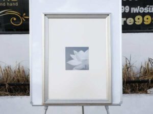 Picture of a blooming lotus, black and white, silver frame