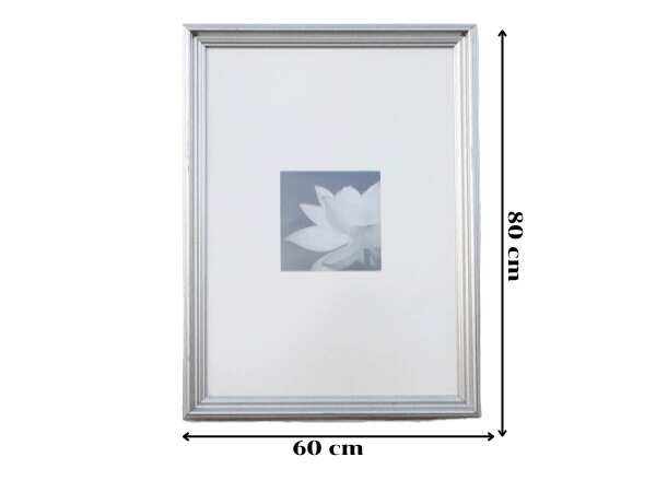 Picture of a blooming lotus, black and white, silver frame