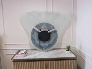 circle mirror shell pattern frame