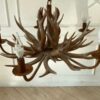 Deer antler chandelier, vintage style