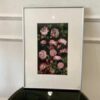Picture of pink roses