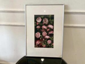 Picture of pink roses