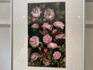 Picture of pink roses
