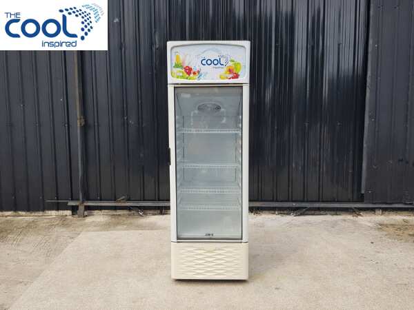 1-door refrigerator, capacity 239 liters, brand The Cool