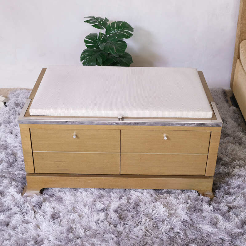 Luggage holder in hotel, wooden luggage cabinet, 2 drawers_096RW47DPL