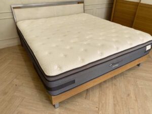 6-foot mattress, Sealy brand, Vigor model_1NDCN274DF