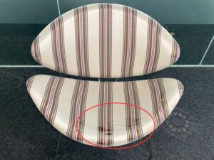 Guest chair with metal legs and cream fabric seat.