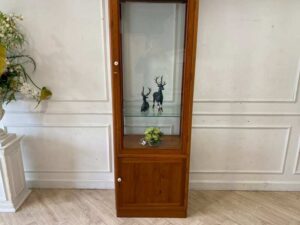 Teak display cabinet with 1 glass door and 1 wooden door