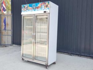 SANDEN INTERCOOL 2-Door Stainless Steel Freezer, Model YPM-110P