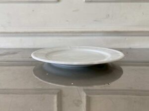 White ceramic dinner plate, Royal Porcelain brand.