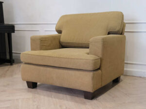 1 seat sofa, yellow-green fabric cushion. Armchair Hotel grade work_J41FRJJLVT