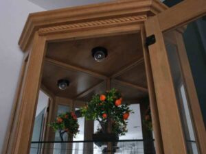 Tall Oak Wood 5-Sided Glass Display Cabinet_JLCDYTGPU0