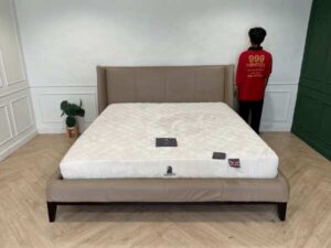 Dunlopillo Inspire Velour 6-Foot Mattress, 9 Inches Thick