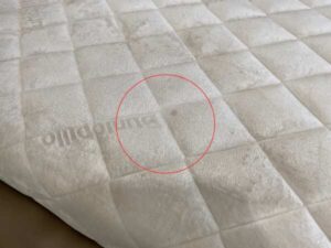 Dunlopillo Inspire Velour 6-Foot Mattress, 9 Inches Thick