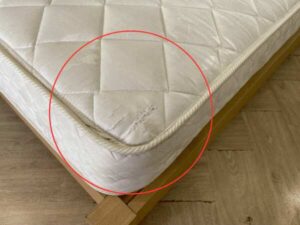 Dunlopillo 6-Foot Bed with 6-Foot Mattress