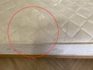 Dunlopillo 6-Foot Bed with 6-Foot Mattress