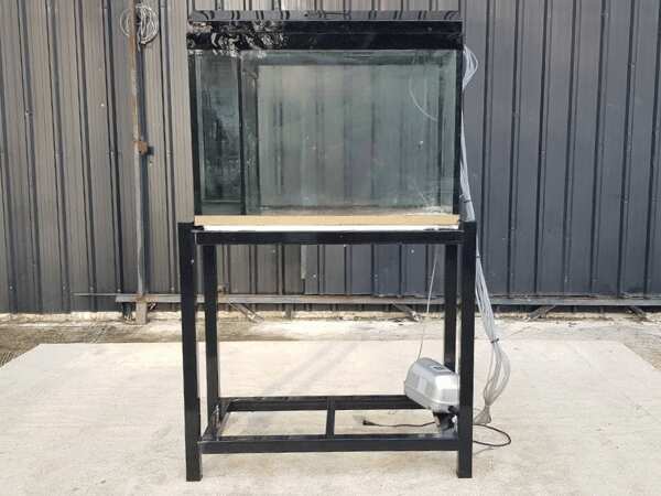 Fish tank with black steel legs