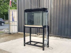 Fish tank with black steel legs