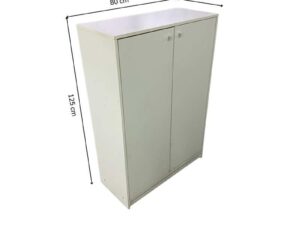 Tall shoe cabinet with two doors.