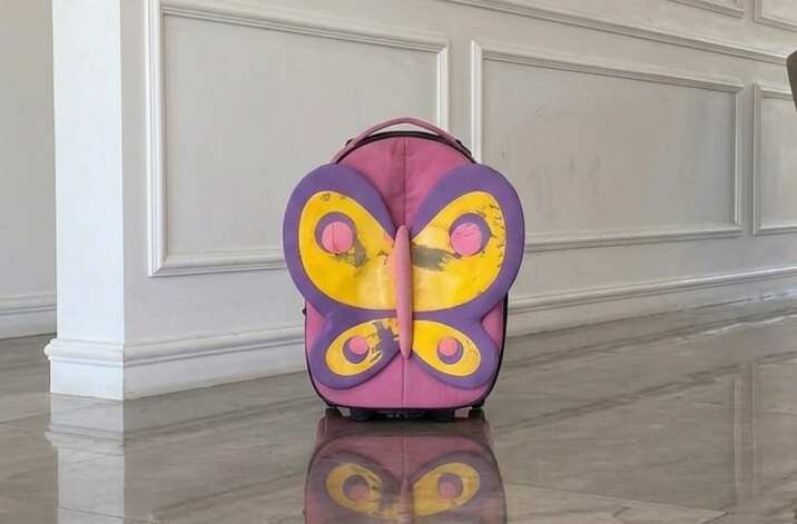 Children's backpack, pink with butterfly pattern, Samsonite brand, Sammies model.