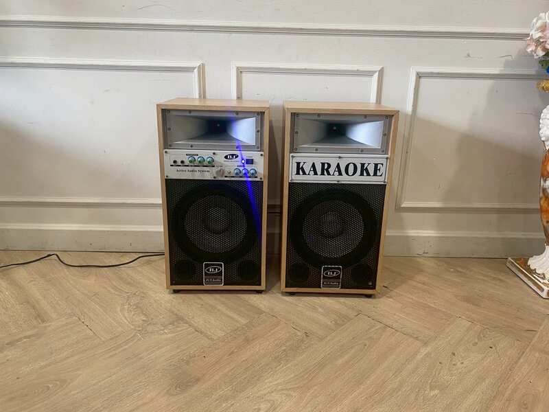 BJ Hi-Fi Audio 10-inch 120-watt speaker cabinet