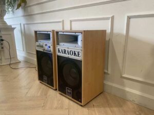 BJ Hi-Fi Audio 10-inch 120-watt speaker cabinet