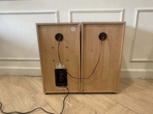 BJ Hi-Fi Audio 10-inch 120-watt speaker cabinet