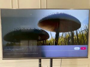 65-inch wall-mounted TV, LG brand, model 65UH615T