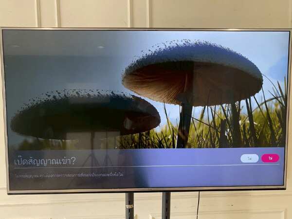 65-inch wall-mounted TV, LG brand, model 65UH615T